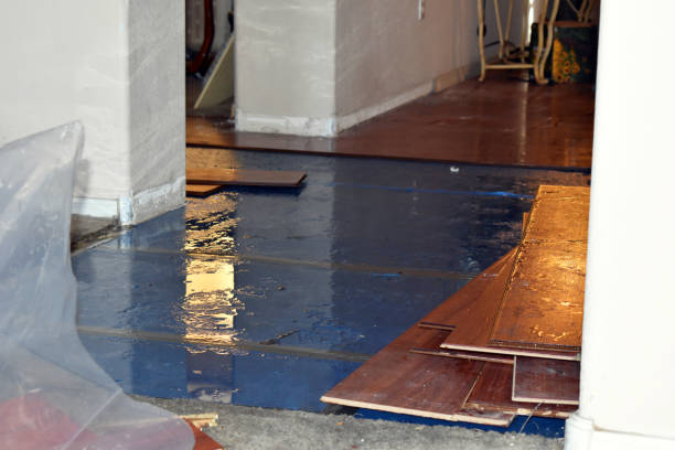Professional Water Damage Restoration technician working in Winfred, SD
